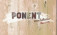 Inmobiliaria Ponent