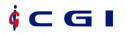 Cgi Internacional