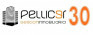 Pellicer Gestin Inmobiliaria