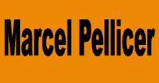 Marcel Pellicer