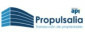 Propulsalia Gestin Integral De Propiedades