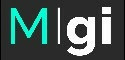 TMN Activos